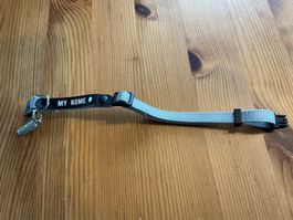 Neues Katzenhalsband mit Adressanhänger
