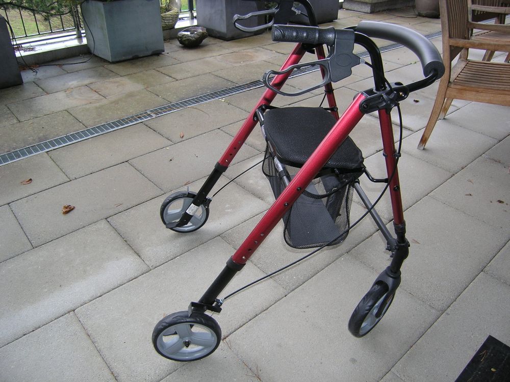 Rollator Kaufen auf Ricardo