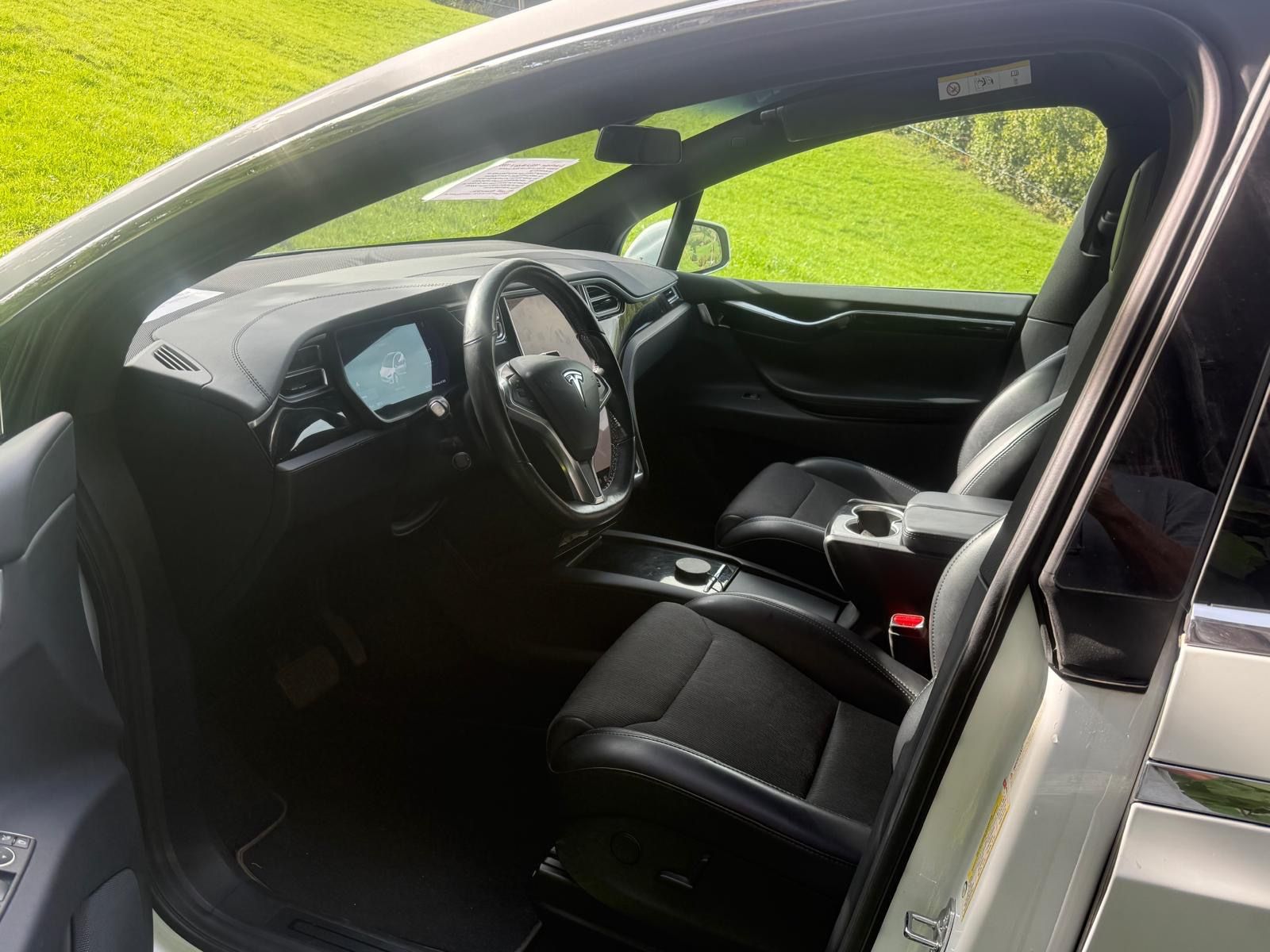Tesla Automobili: TESLA Model X 100D – Usato da Ebnat-Kappel venduto da anitasteiner 7