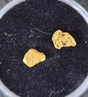 Goldnugget aus Canada
