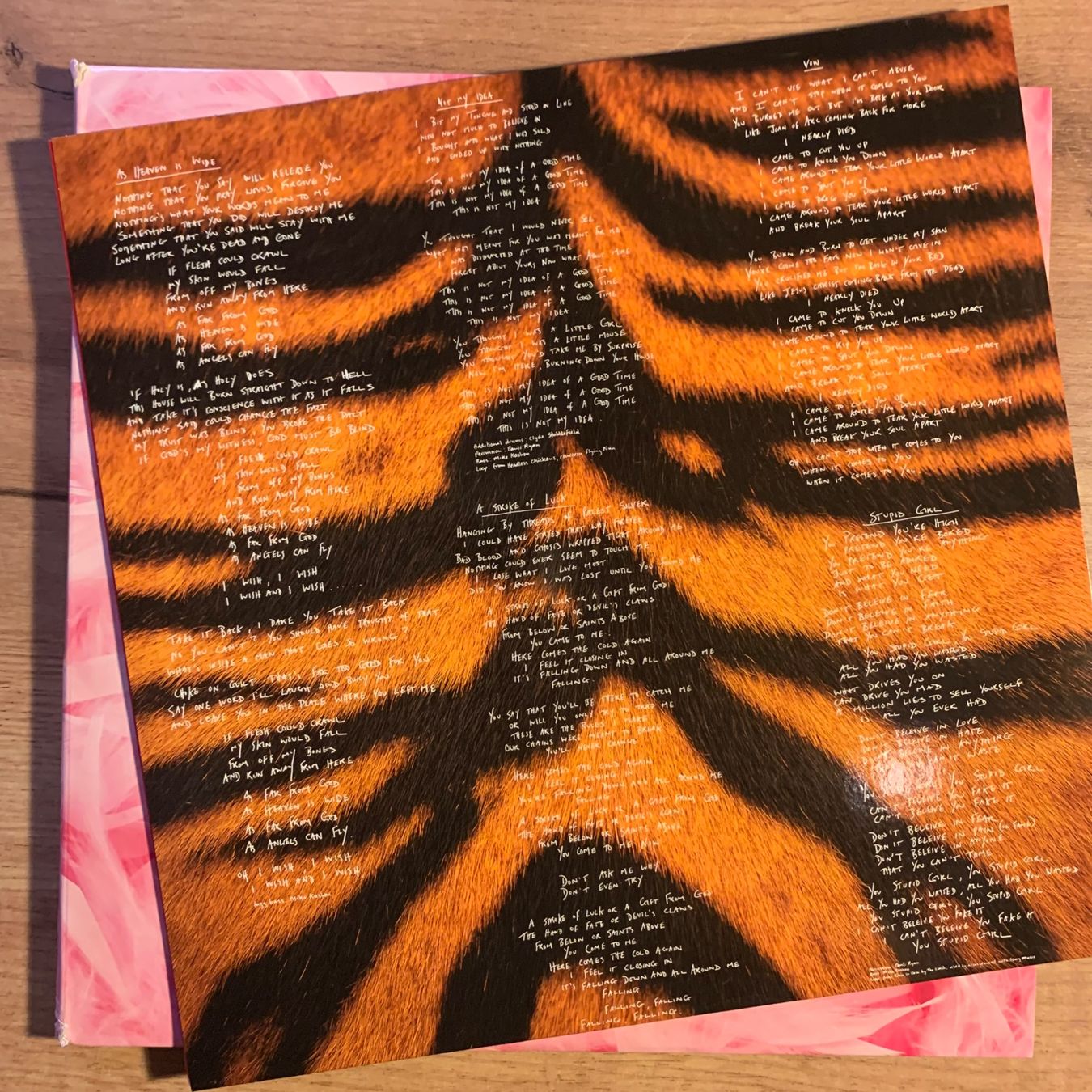 Vinyles: GARBAGE - GARBAGE...RE US 2015 RED...NM/EX – D'occasion à Gals par Diskopatshop 3