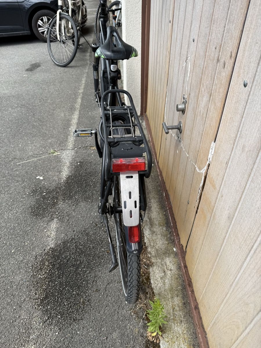 Flyer Biciclette: Flyer Bosch TS-Serie E-Bike 45km/h – Usato da Oberentfelden venduto da lam_vj88 5