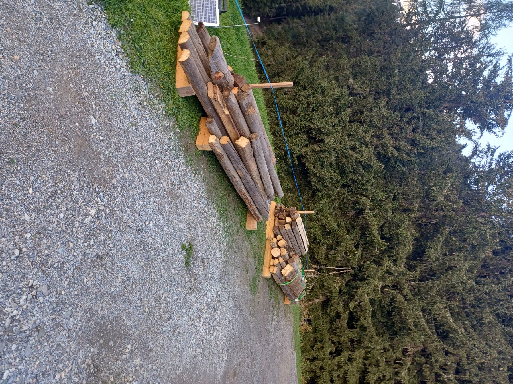 Articoli in legno: Altholz gratis abzuholen! – Usato da Ruschein venduto da mar_g9rm