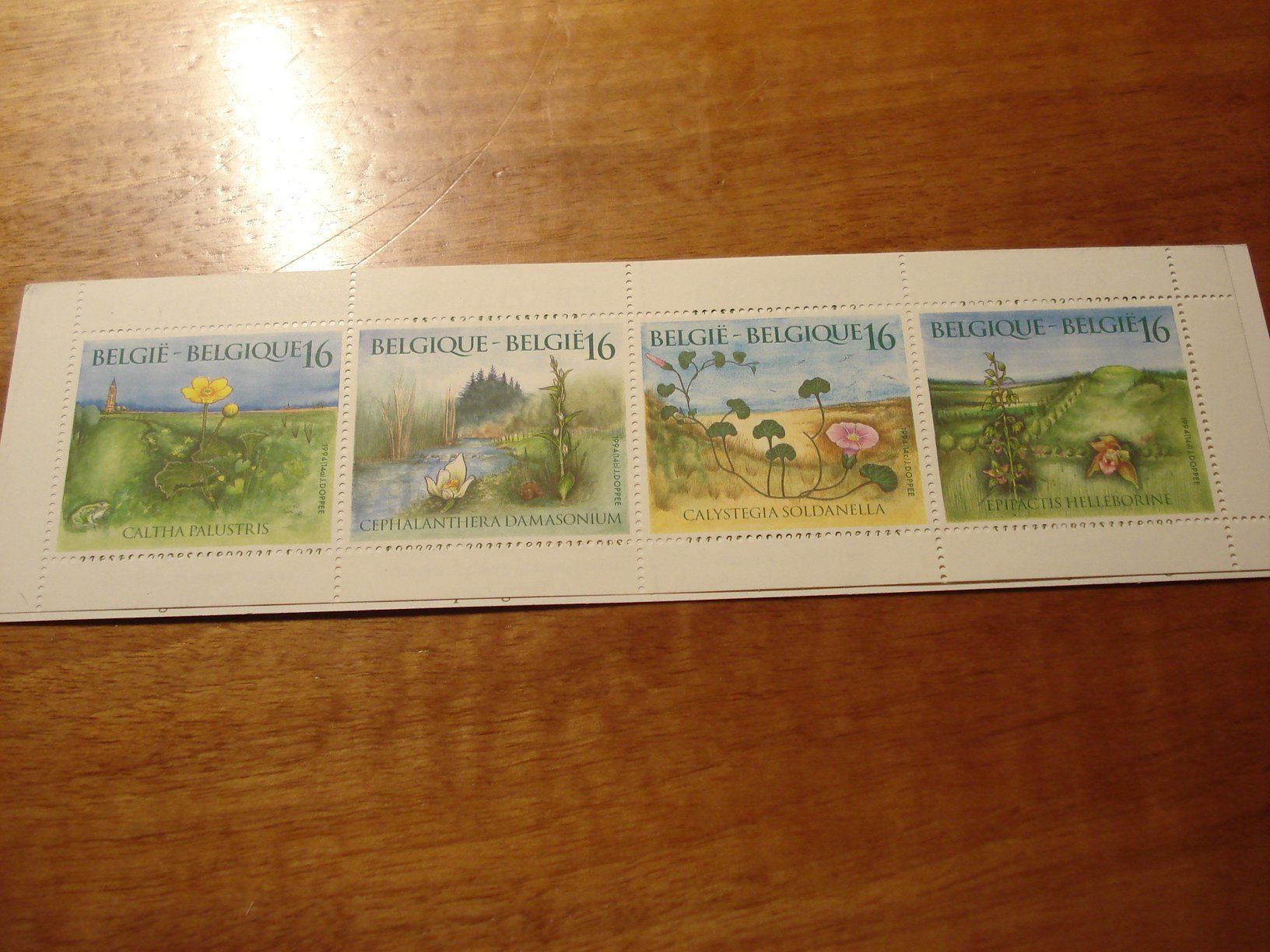 Tutti i francobolli: Belgien 1994, Markenbüchlein Blumen ** – Usato da Niederwil AG venduto da morostahu 1