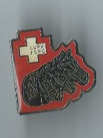 SVFK FSPC Pferd, Pin