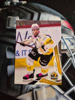 Jonathan Hazen HC Ajoie 2025/26 Sportzoo