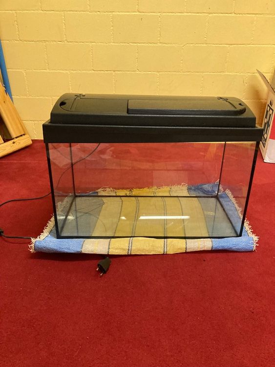 Aquarium-Dekoration – Künstliche Wasserpflanze, 55 Cm Hoch, Mit Keramikbasis