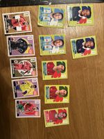 FIFA World Cup 2026 Sammelkarten Panini Konvolut