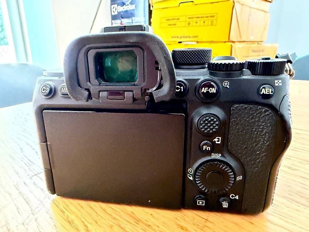 Appareil photo: Sony A7S III  Good Condition  Works Perfectly – D'occasion à Biel/Bienne par tal_c755 2