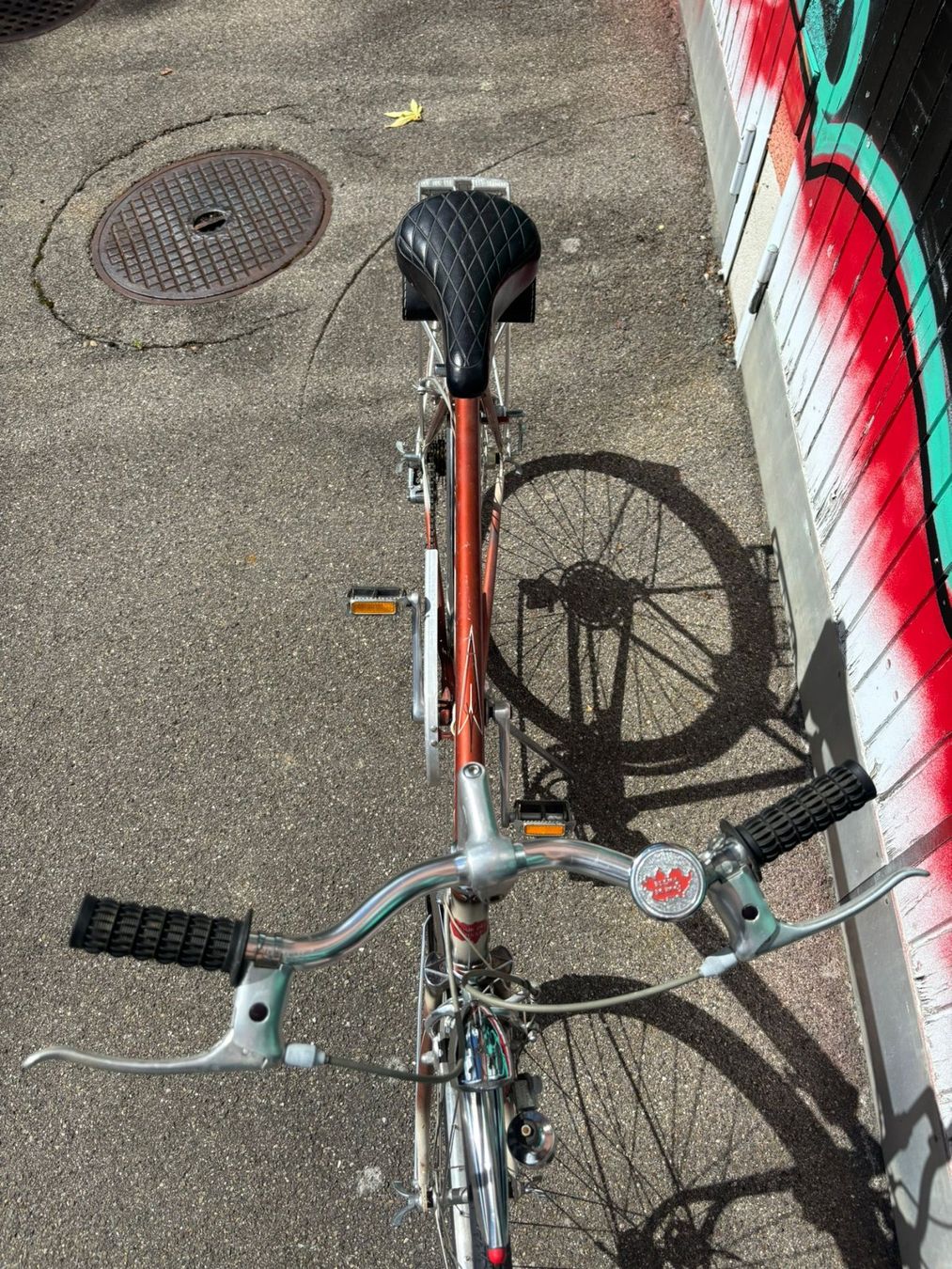 Biciclette: Tour de Suisse Herrenvelo – Usato da Zürich venduto da cedkob 1