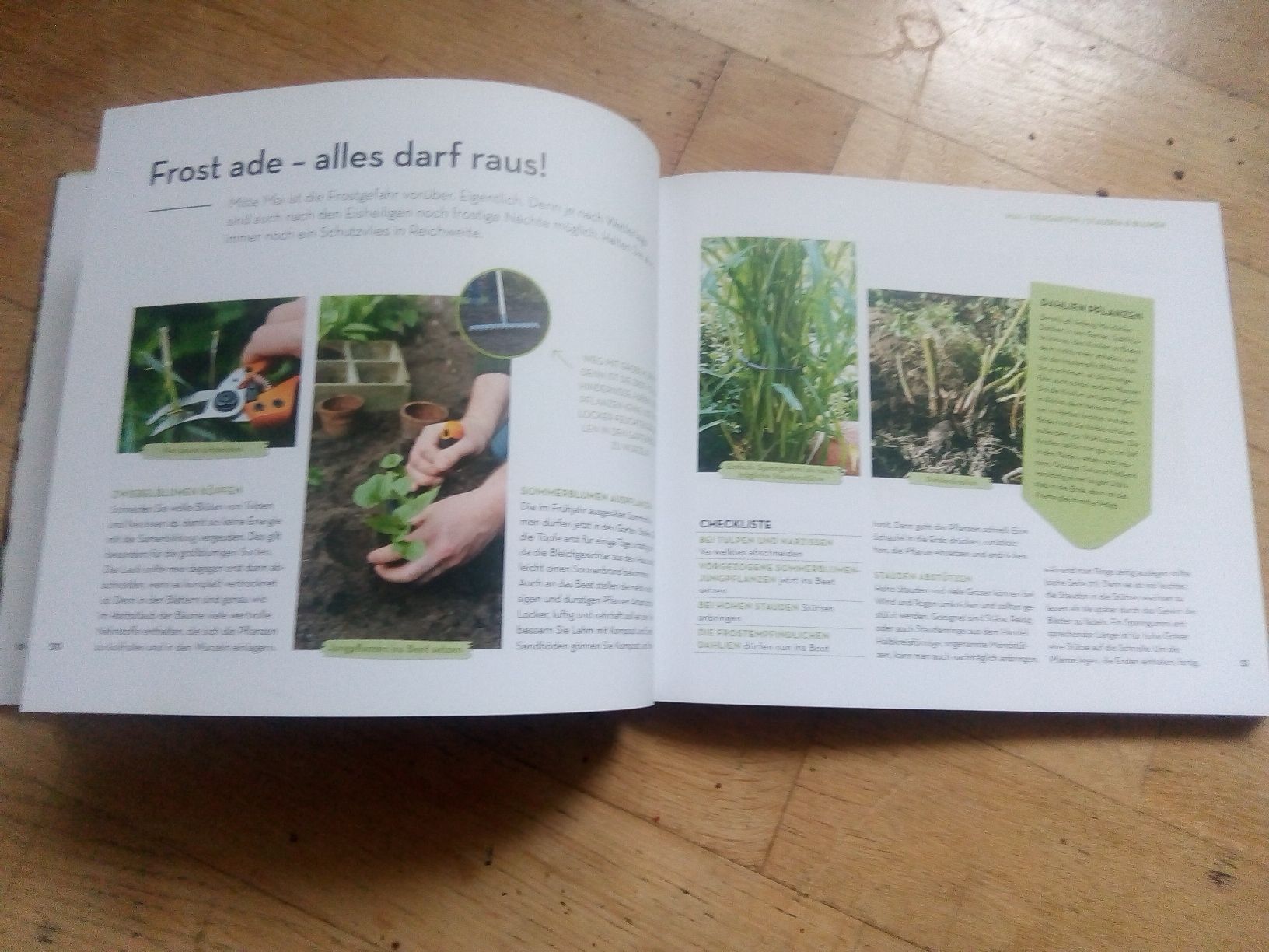Libri: Wächst das von allein? - oder muss ich jetzt was machen? – Usato da St. Gallen venduto da elk2021 6