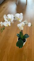 🌸 IKEA FEJKA Kunstorchidee inkl. PEKANNÖT Blumentopf