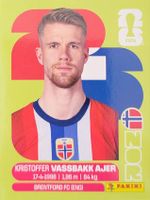 Panini FIFA World Cup NOR 5