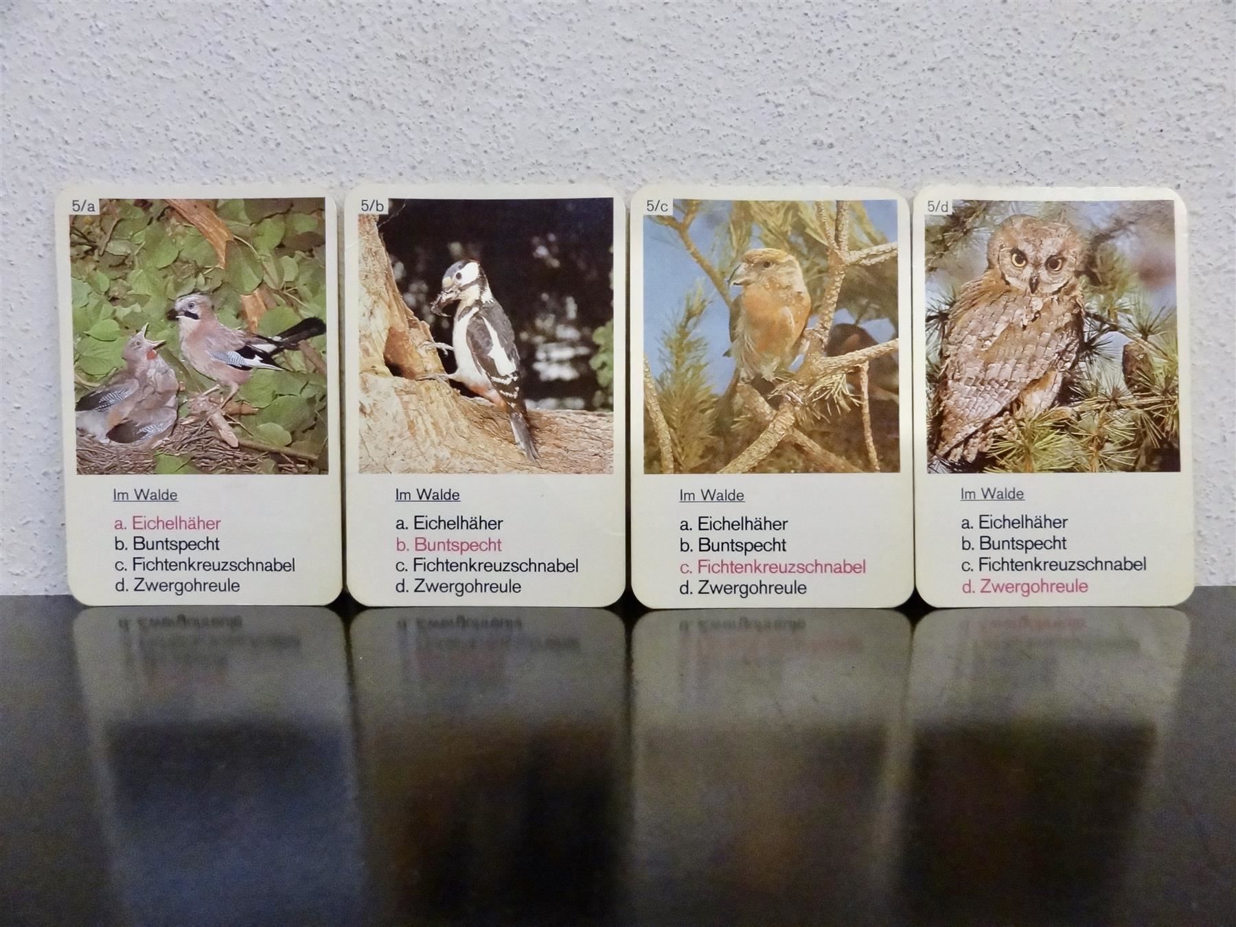 Spiele: altes Quartett TIER-QUARTETT VÖGEL – Gebraucht aus Kerzers von wisaundso 6