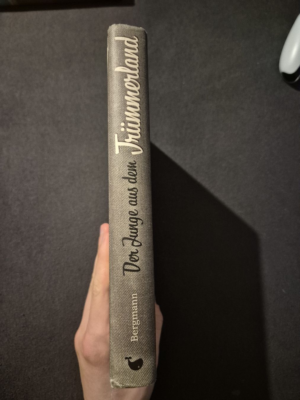 Bücher: Der Junge aus dem Trümmerland – Gebraucht aus Nürensdorf von luc_9ksf 2