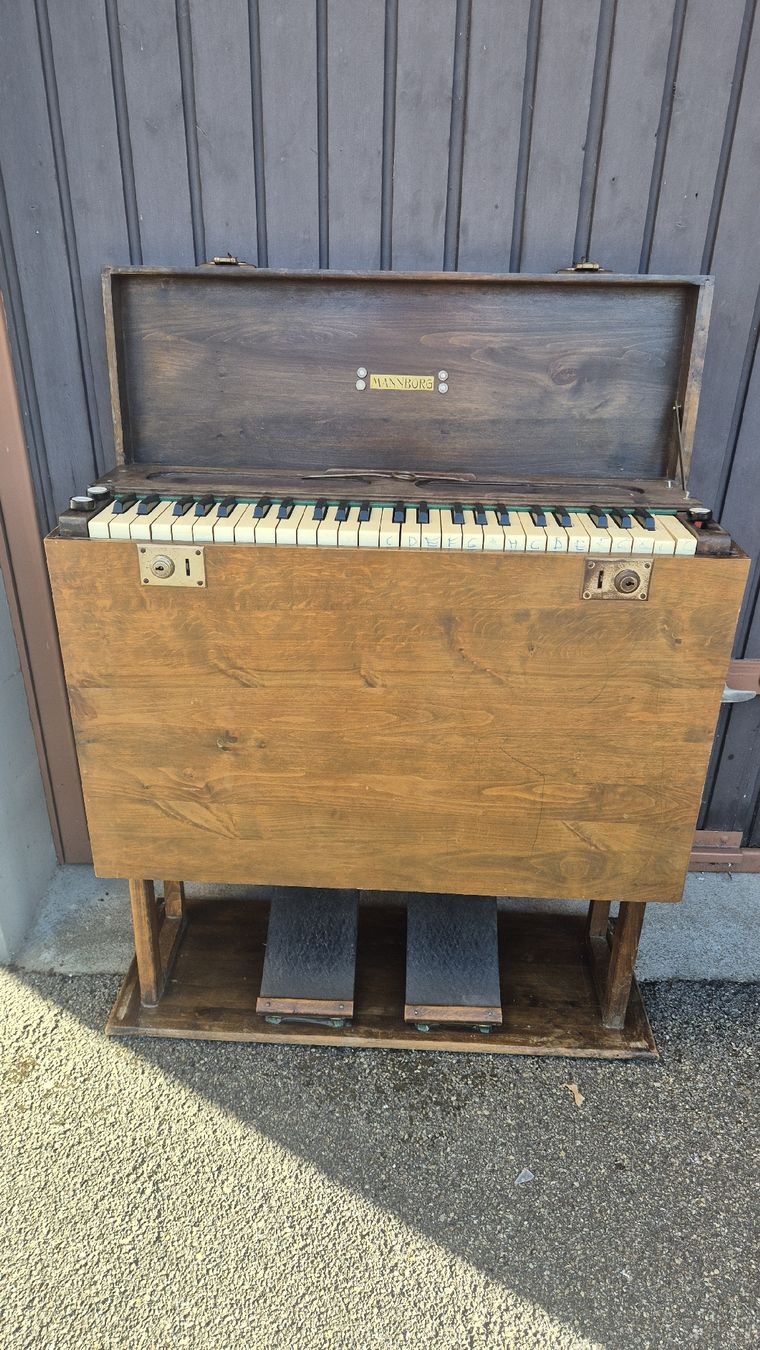 Strumenti musicali: Harmonium Mannborg zu Verkaufen – Usato da Rämismühle venduto da beni0010 6