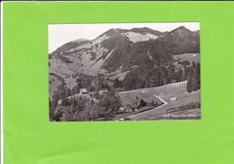 Caux et les Avants