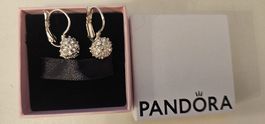Pandora Ohrhänger mit Zirkonia, 925 Silber, Neuwertig!