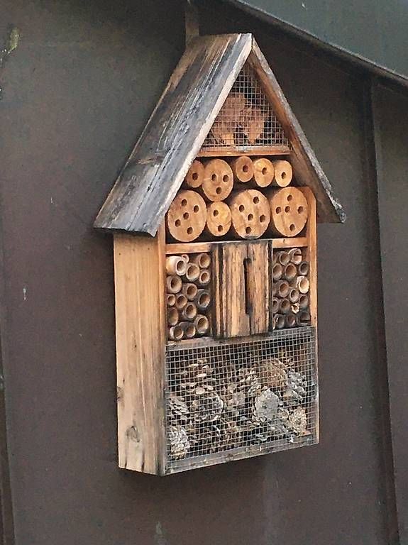 Ruchers: Insektenhotel – D'occasion à Zürich par BuenosAires03