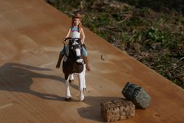 Paint Horse Stute mit Reiterin