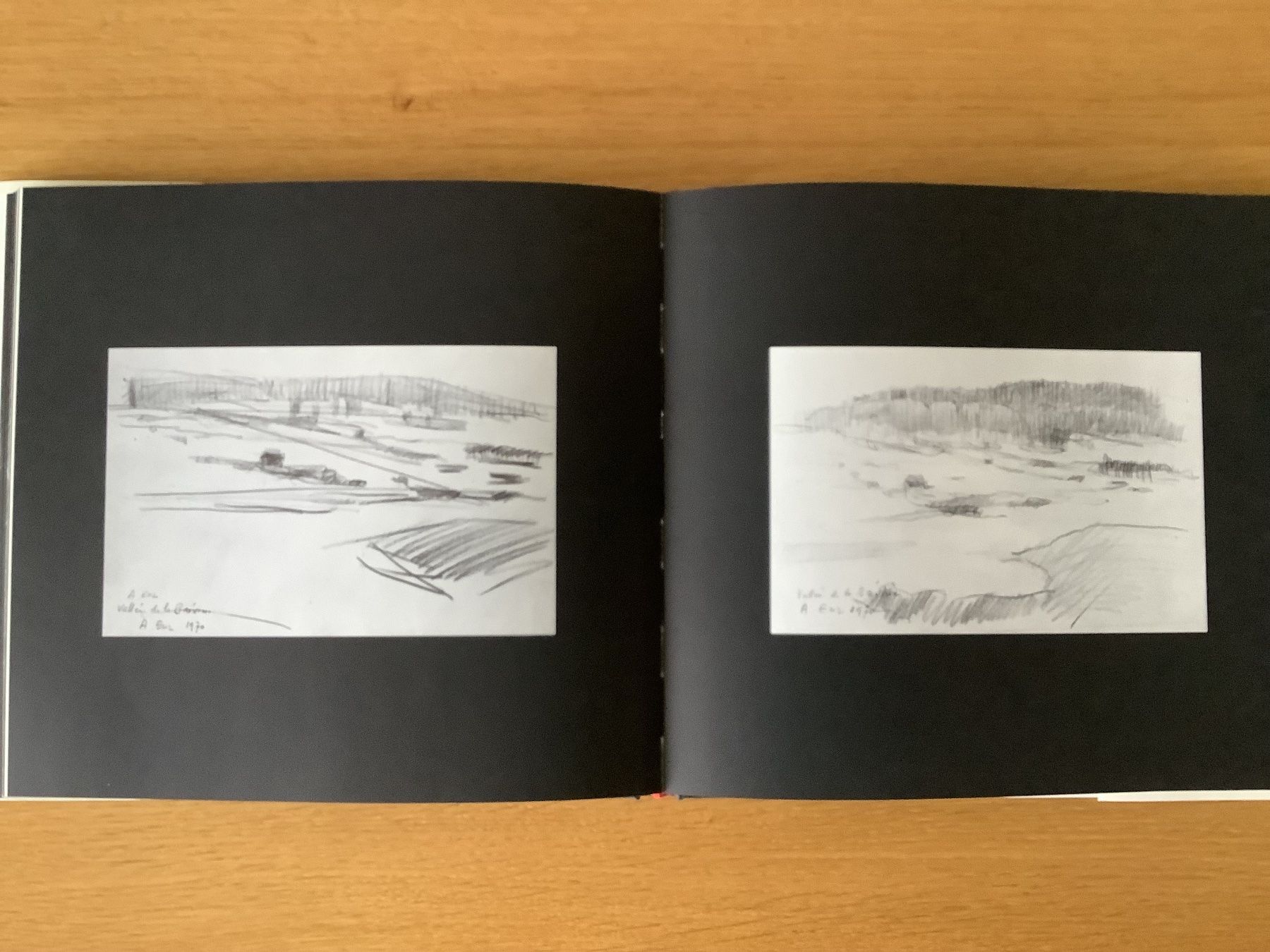 Libri: Albert Enz - 1909 - 1982 - Kunstbuch limitierte Auflage – Usato da Bassersdorf venduto da F-104fan 4