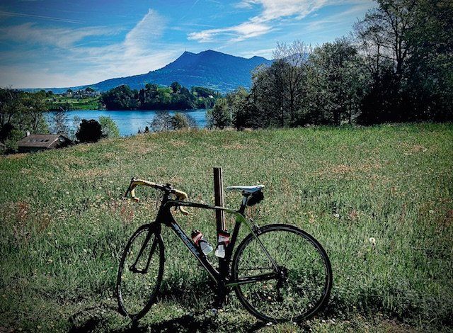 Top Rennrad Stöckli Circon (Carbon) (Gebraucht) in Horw für CHF 760 ...