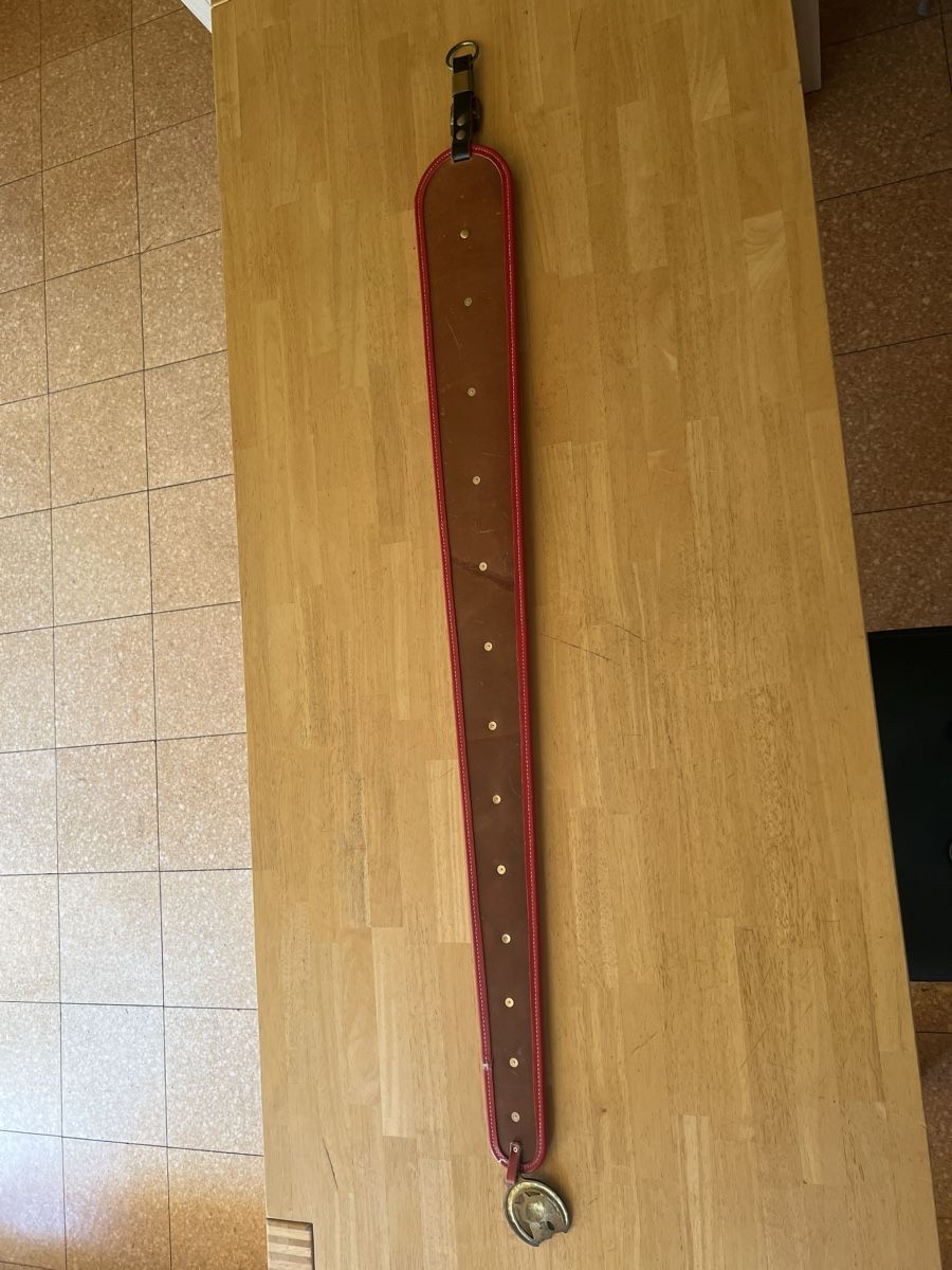 Schilder: Staatsriemen – Gebraucht aus Zuchwil von Commander0 5