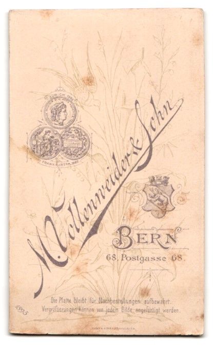 Fotografie & Manifesti: Fotografie M. Vollenweider, Sohn, Bern,  – Usato da Berlin venduto da bartko-reher 1