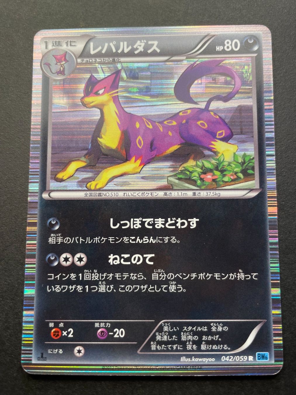 Pokémon Carte collezionabili: Liepard Holo BW6 042/059 1st Ed – Usato da Zürich venduto da pokemon_cards
