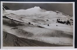 Vintage Fotokarte Parpan Alp Stätz 1947