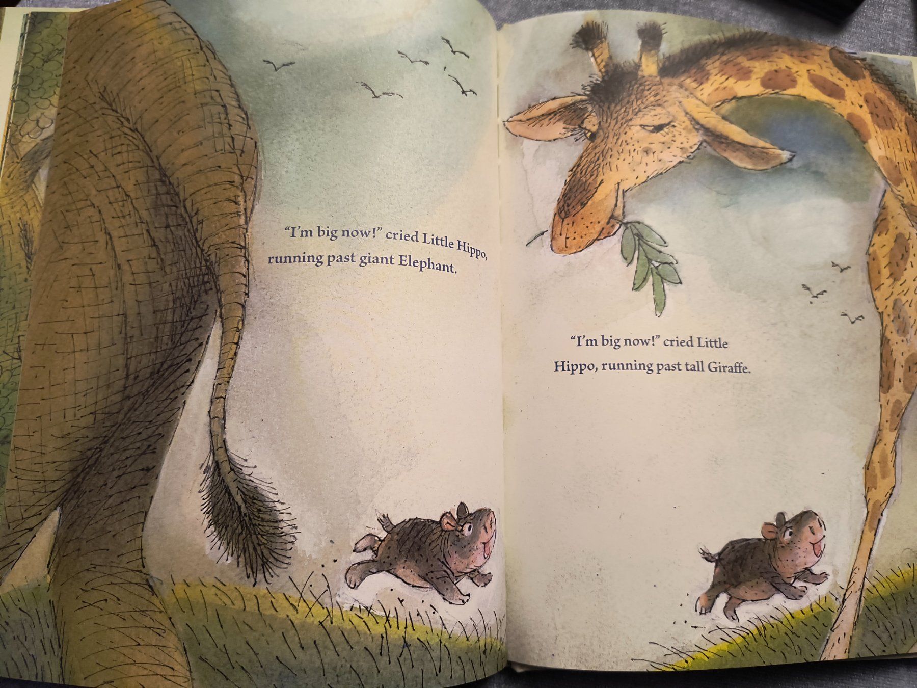 Libri: BIG LITTLE HIPPO Kinderbuch englischer Sprache – Usato da Schöfflisdorf venduto da kin_2dp9 4