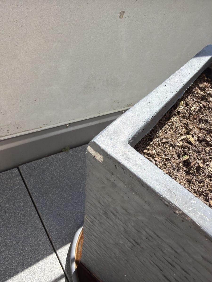 Pots de fleurs: Blumentopf grau Rechteckig – D'occasion à Altendorf par sda_57x2 1