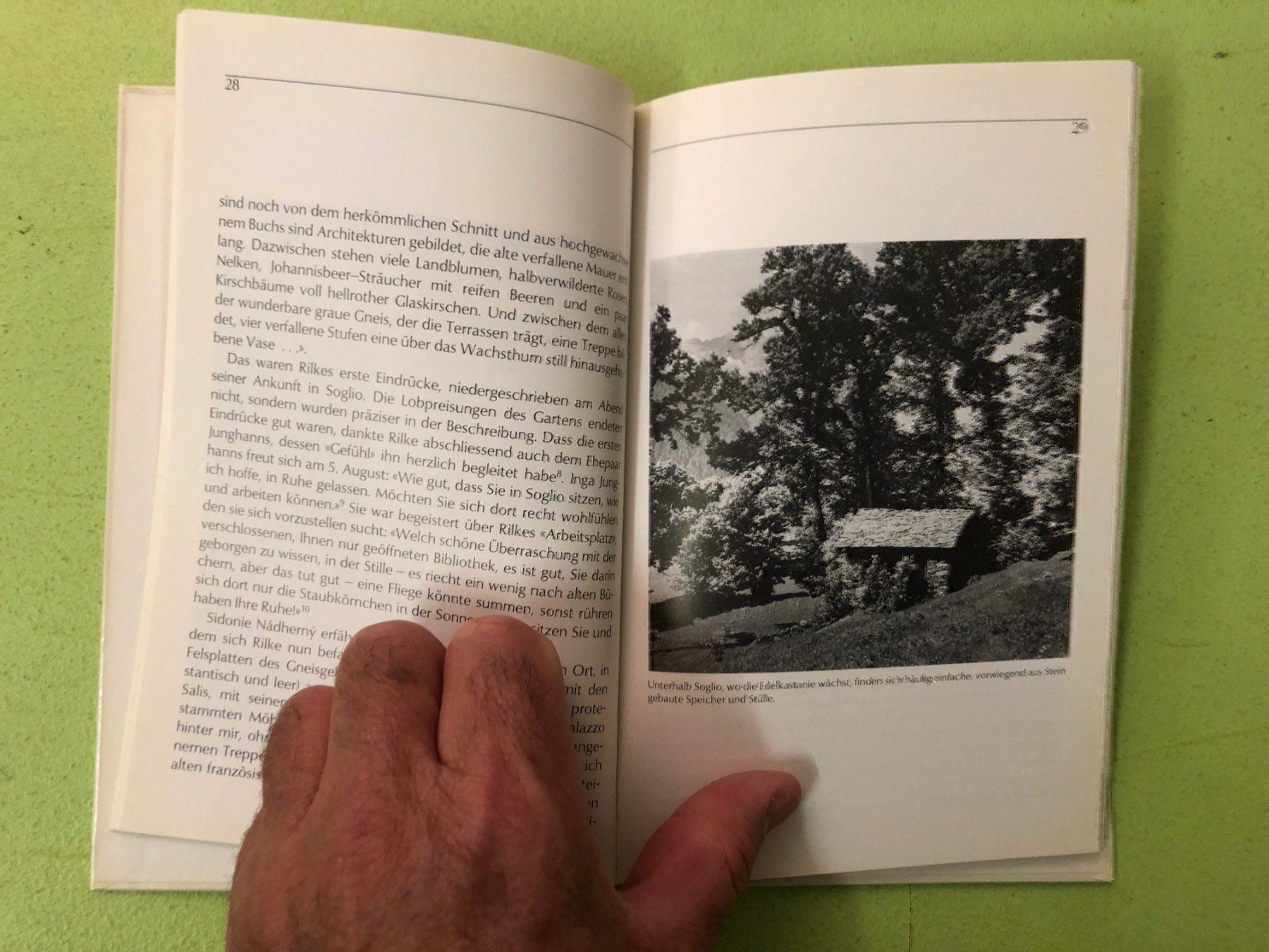 Libri: H.-J. Barkenings: Rilke in Soglio – Usato da Zürich venduto da allp 5