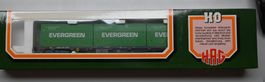 1 SBB Seecontainer HAG Nr 366 Evergreen OVP Neu