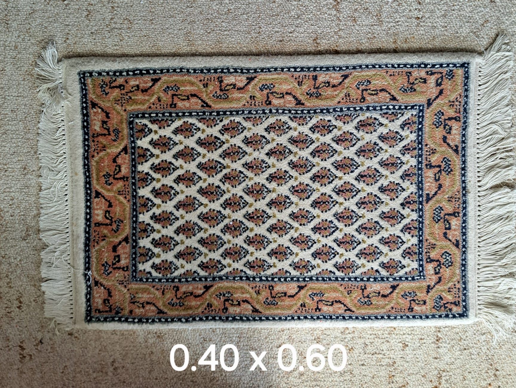 Tapis: Orientteppiche – D'occasion à inkwil par habegg 2