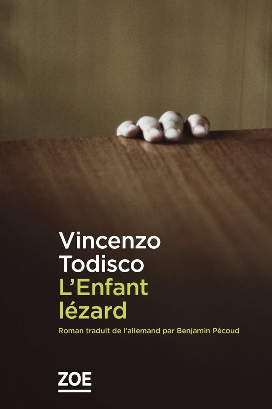 Bücher: L'enfant lézard – Gebraucht aus Neuchâtel von Dualseele