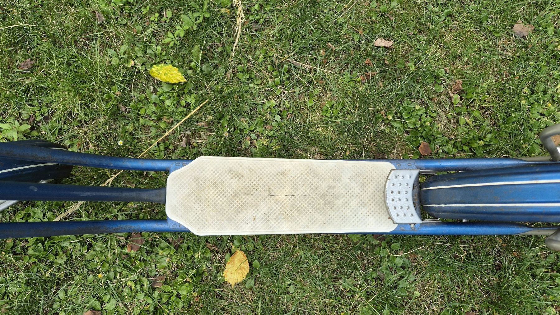 Kickboard: Trotti Alt Champion – Gebraucht aus Sirnach von Marphil 3