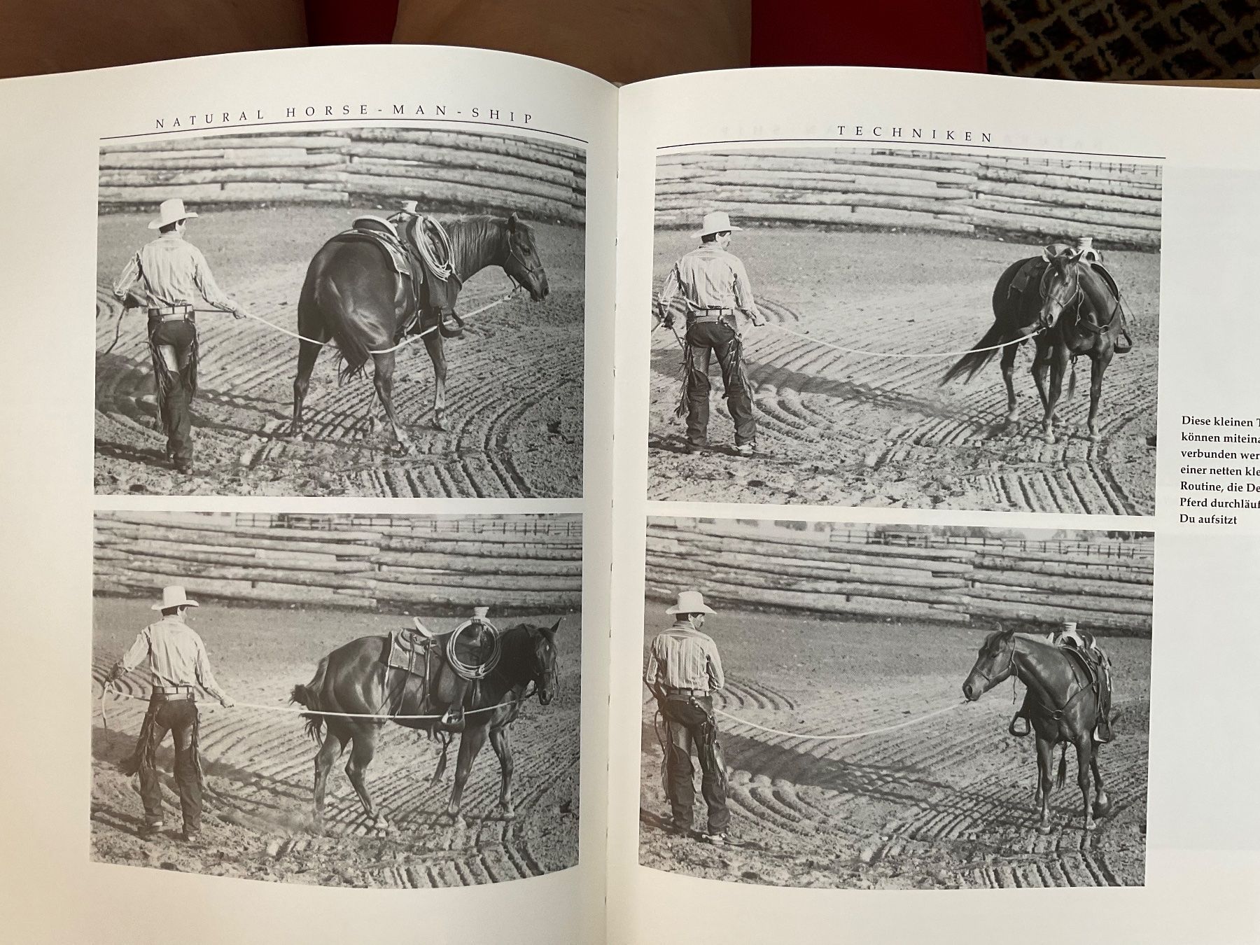 Bücher: Natural Horsmanship (Western Riding) – Gebraucht aus Herisau von eri_2tb5 2