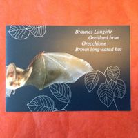 2012 Abonnements-Geschenkfolder Nr. 1444 Braunes Langohr