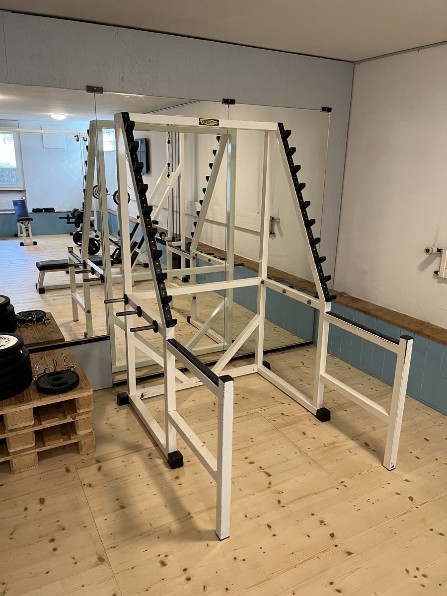 Technogym Hometrainer: Technogym Multi Rack / Power Rack / Kniebeugen – Usato da Kirchberg BE venduto da psmr