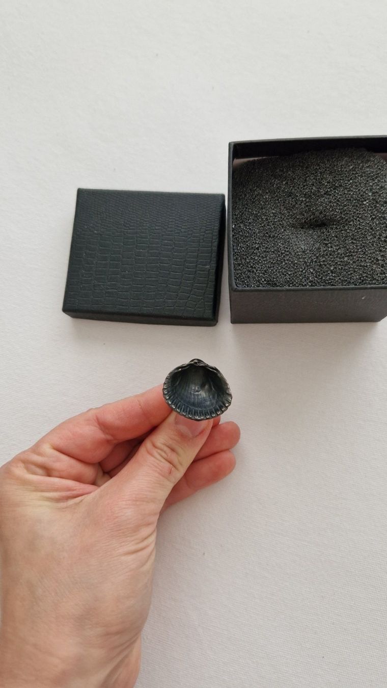Bagues: Ring Silber Muschel – D'occasion à Erlinsbach SO par ULIKH 2