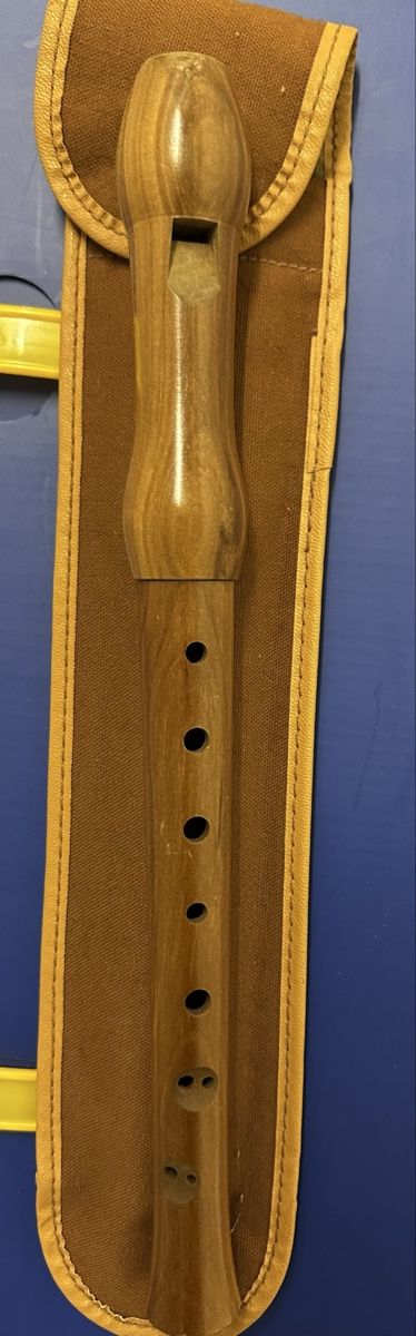 Strumenti musicali: H.C. Fehr Holzblockflöte, inkl. Etui – Usato da Schupfart venduto da Leexii90 1