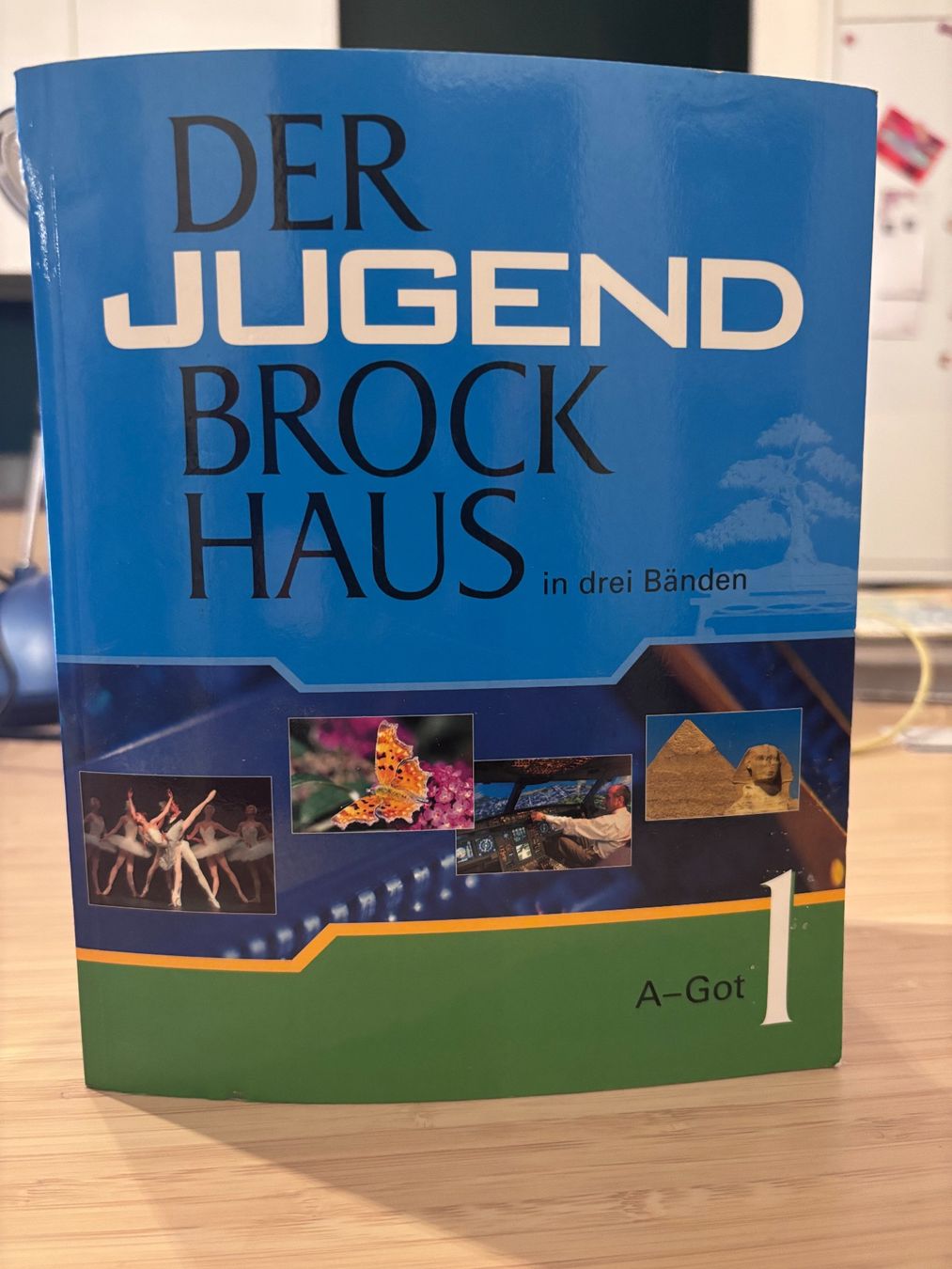 Libri: Der Jugend Brockhaus in drei Bänden – Usato da Zürich venduto da ade_808