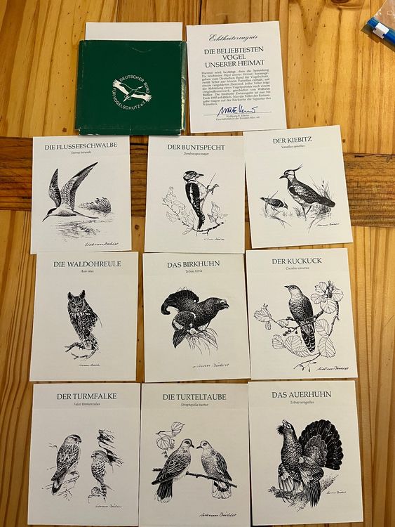 Sammelteller Porzellan Die beliebtesten Vögel unserer Heimat 5