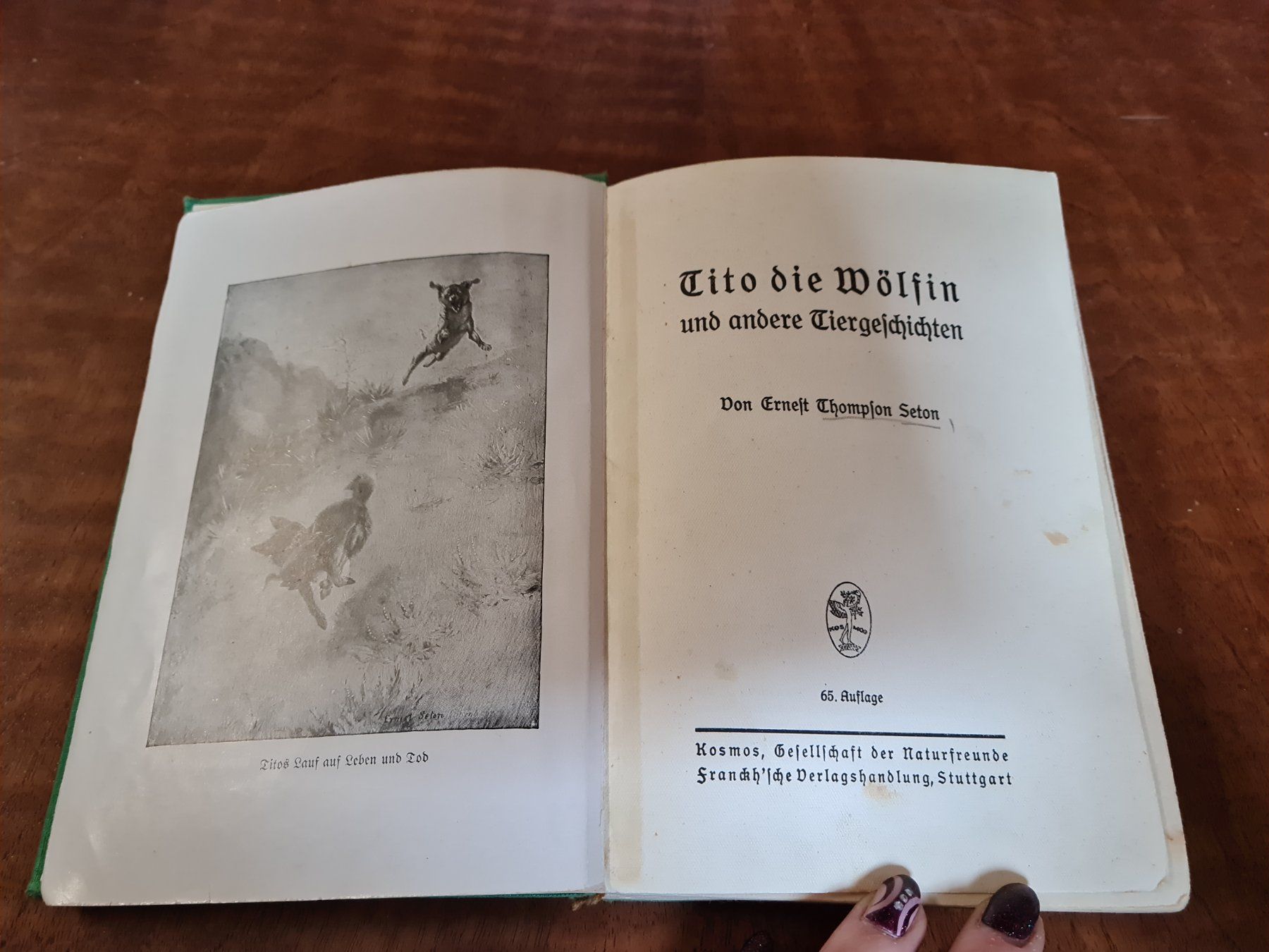 Libri: Tito die Wölfin – Usato da Erstfeld venduto da Mario_boe0 2
