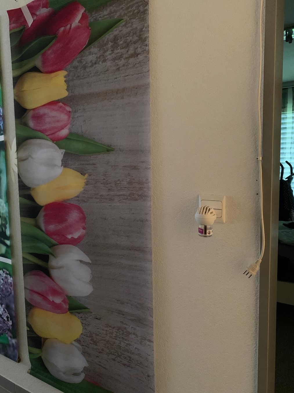 Autres accessoires: Textilbanner Tulpen Frühling – Neuf (Voir description) à St. Gallen par Miousch 2