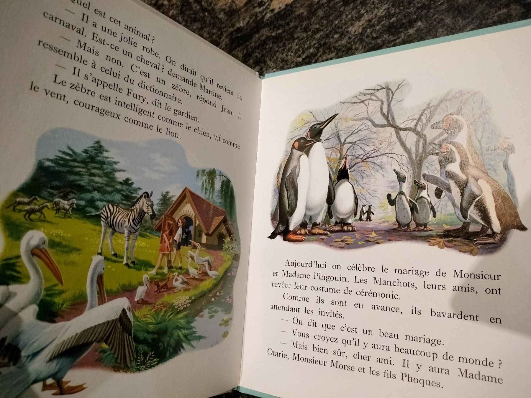 Libri: Martine au zoo dès 3 ans – Usato da Cortaillod venduto da rozinna 6