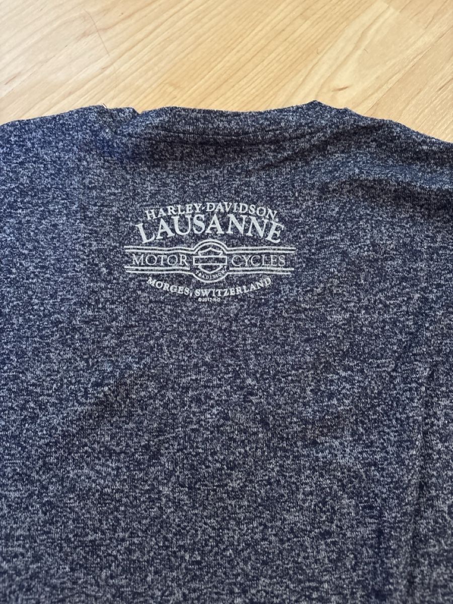 Pulls & Sweat-shirts: Joli pull Harley Davidson S-M – D'occasion à Sion par caranthau 1