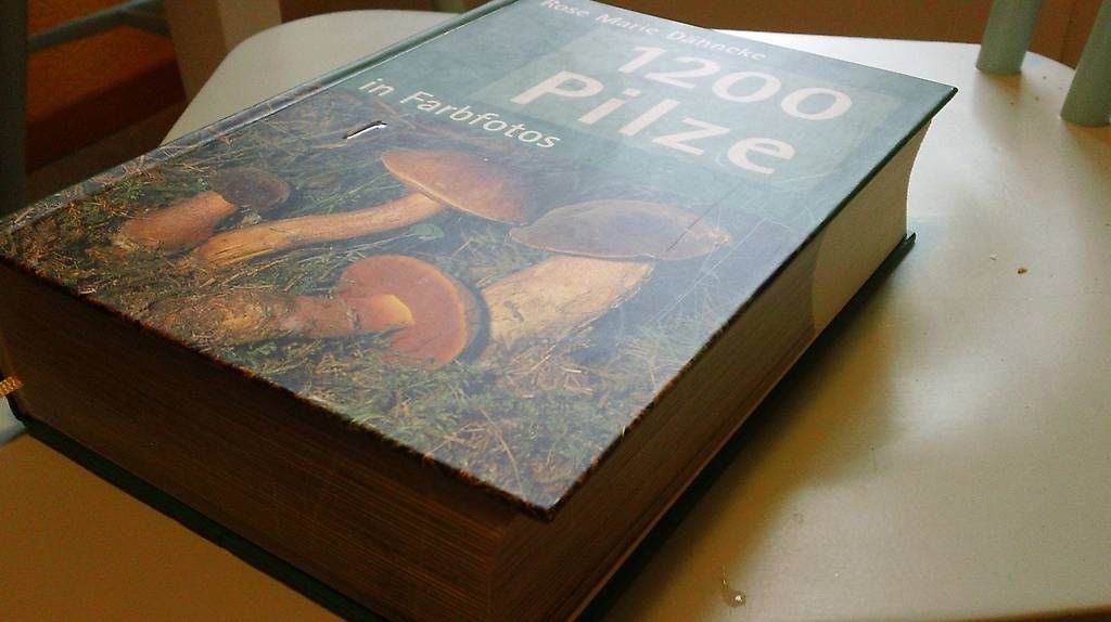 Libri: Pilzbuch – Usato da Luzern venduto da Rolkos 1