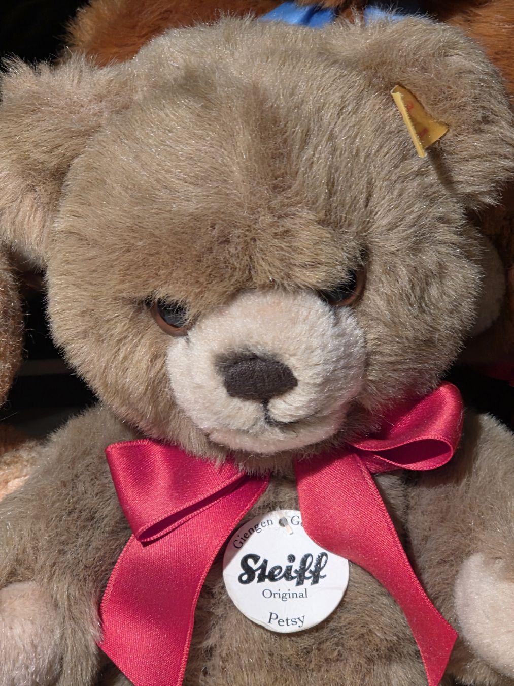 Steiff Giocattoli: 7 Steiff Bären Brüder suchen Zuhause  – Usato da Dintikon venduto da Dako1204 6